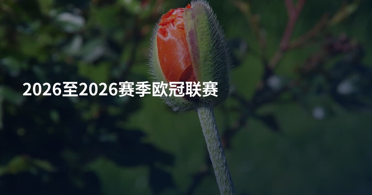 2026至2026赛季欧冠联赛
