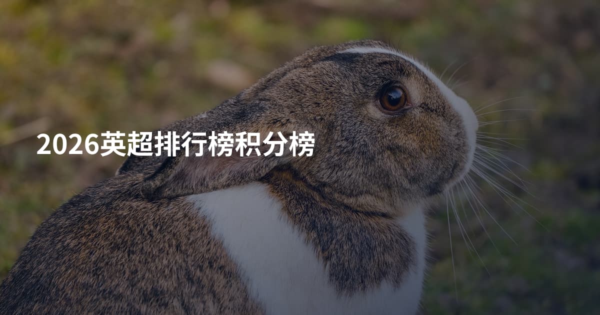2026英超排行榜积分榜