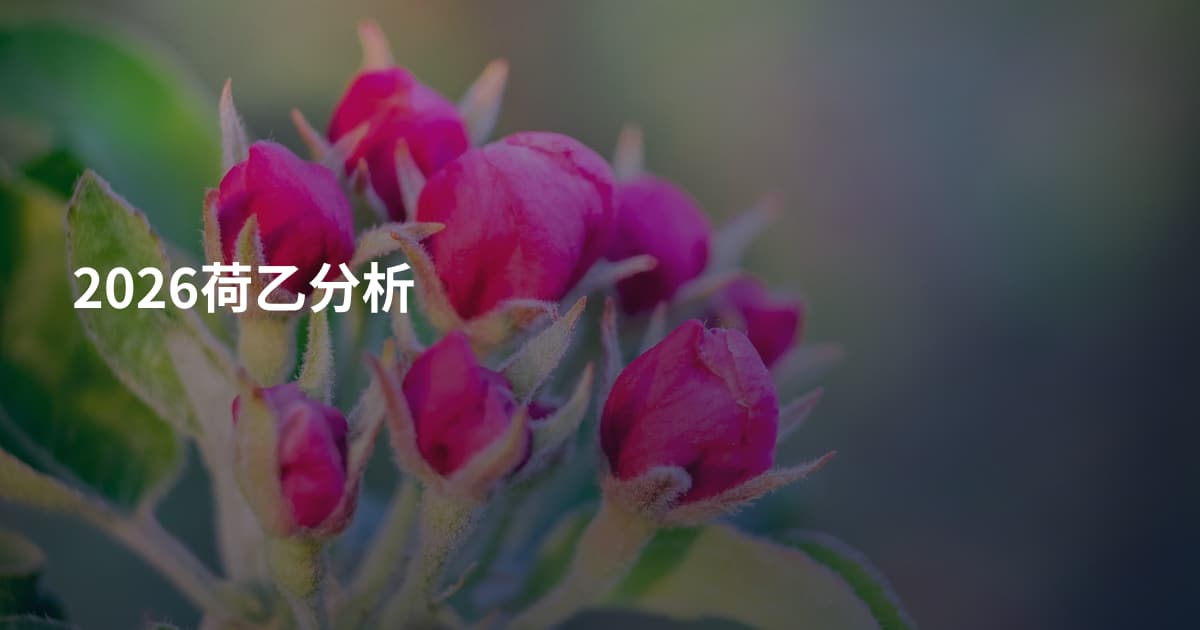 2026荷乙分析