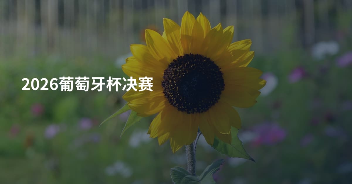 2026葡萄牙杯决赛