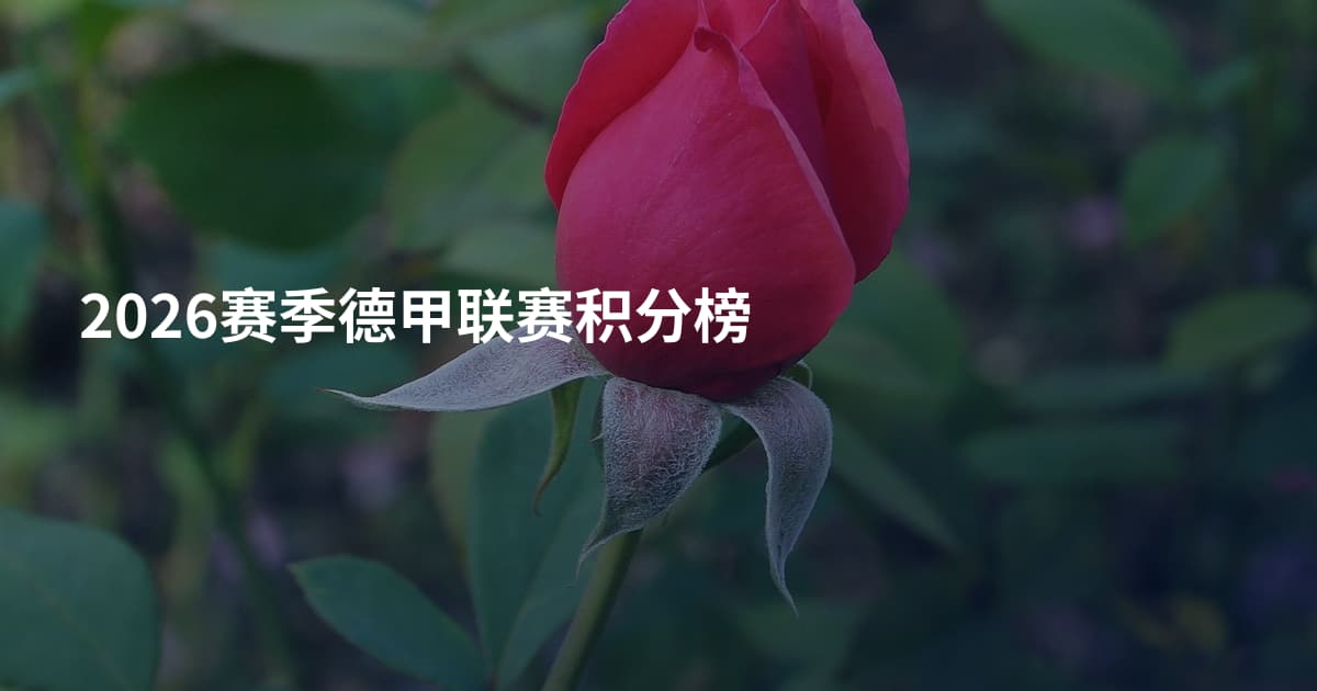 2026赛季德甲联赛积分榜