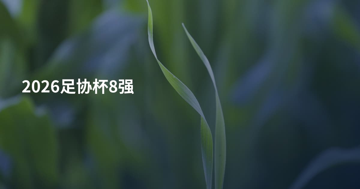 2026足协杯8强