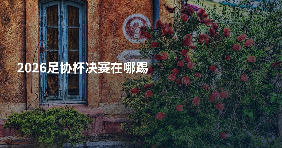 2026足协杯决赛在哪踢