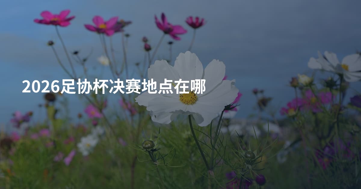 2026足协杯决赛地点在哪