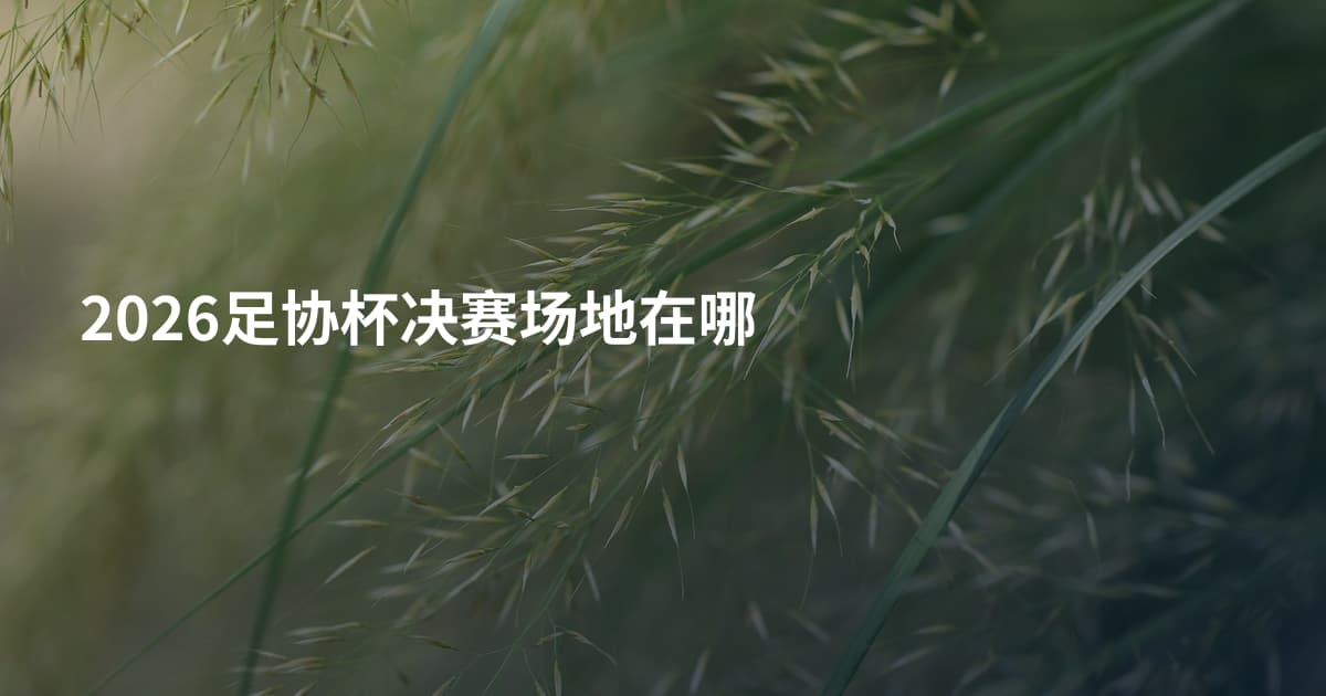 2026足协杯决赛场地在哪