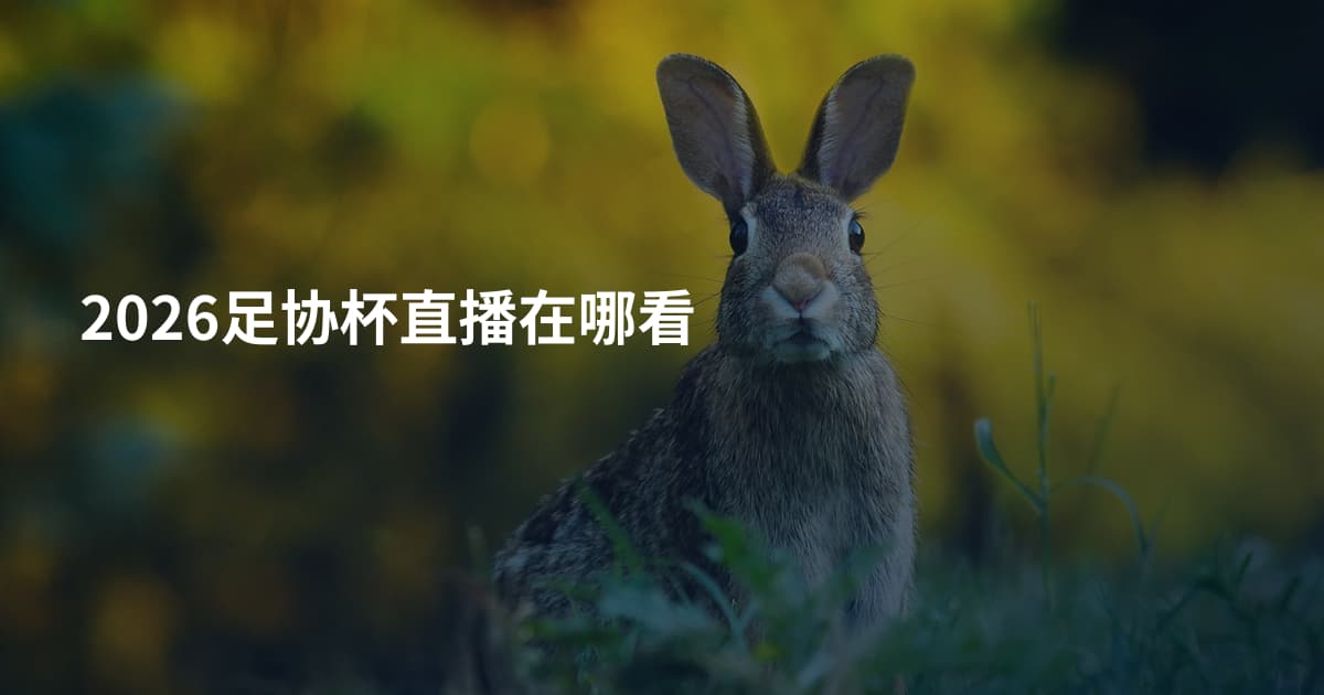 2026足协杯直播在哪看