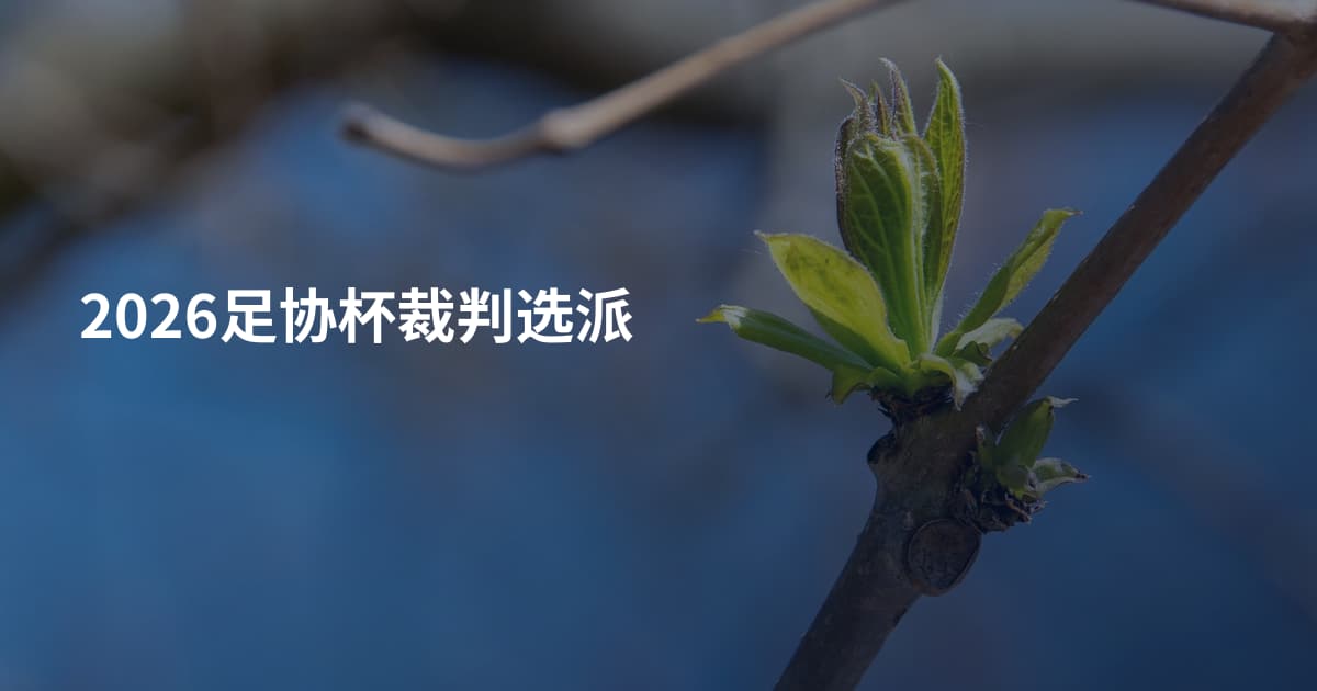 2026足协杯裁判选派
