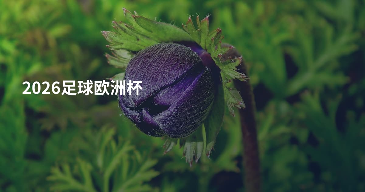 2026足球欧洲杯