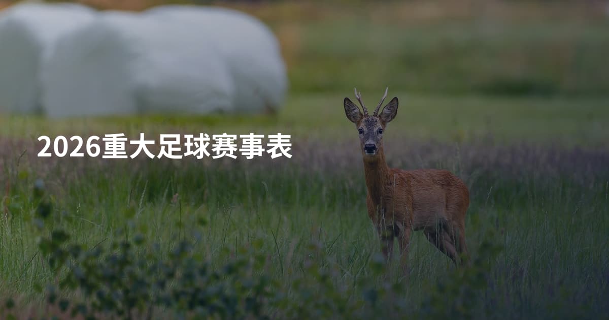 2026重大足球赛事表