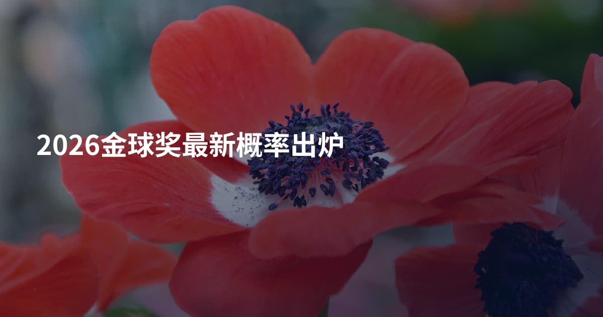 2026金球奖最新概率出炉