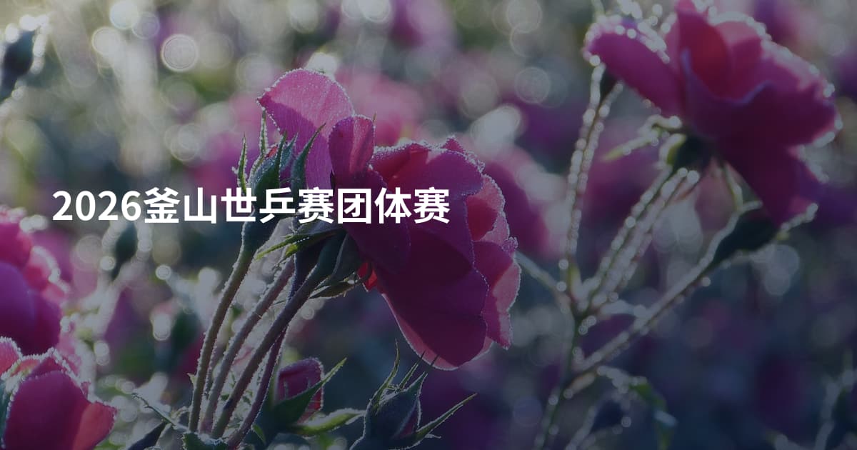 2026釜山世乒赛团体赛