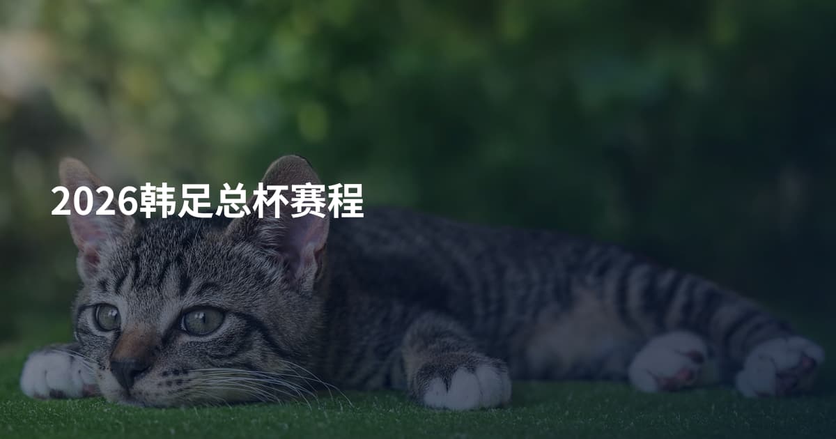 2026韩足总杯赛程