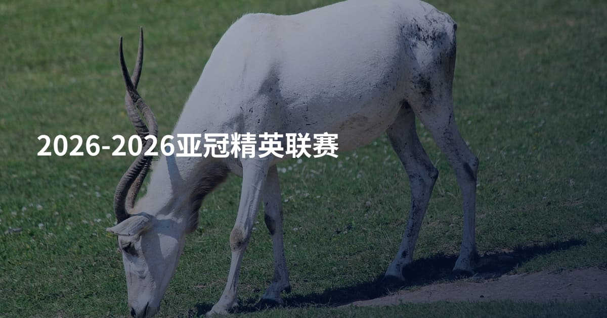 2026-2026亚冠精英联赛