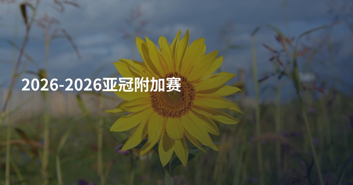 2026-2026亚冠附加赛