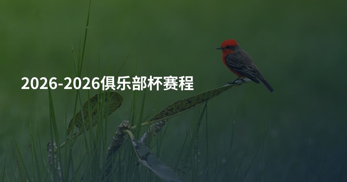 2026-2026俱乐部杯赛程