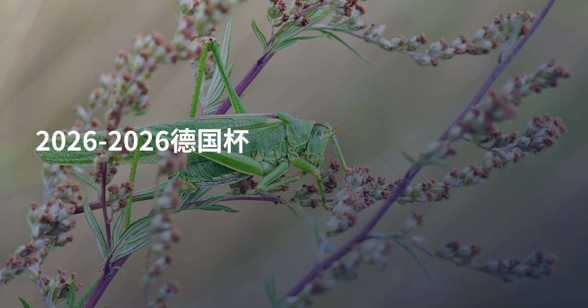 2026-2026德国杯