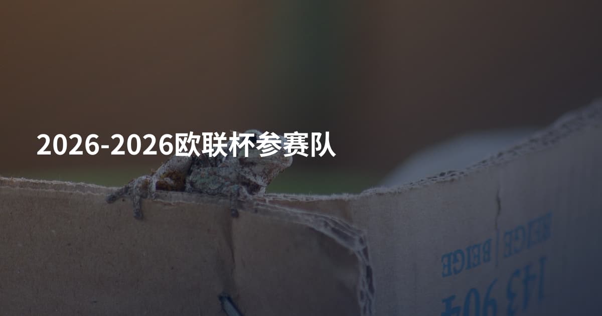 2026-2026欧联杯参赛队