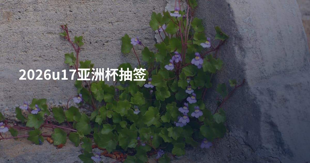 2026u17亚洲杯抽签