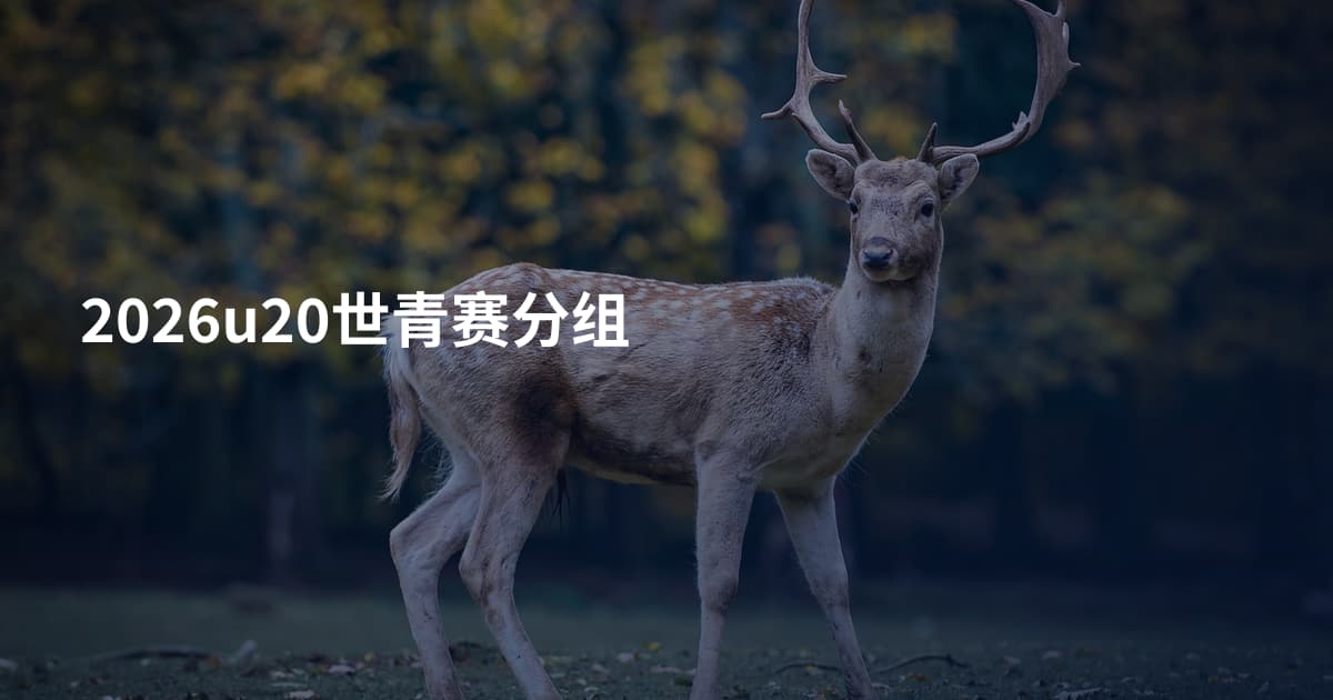 2026u20世青赛分组