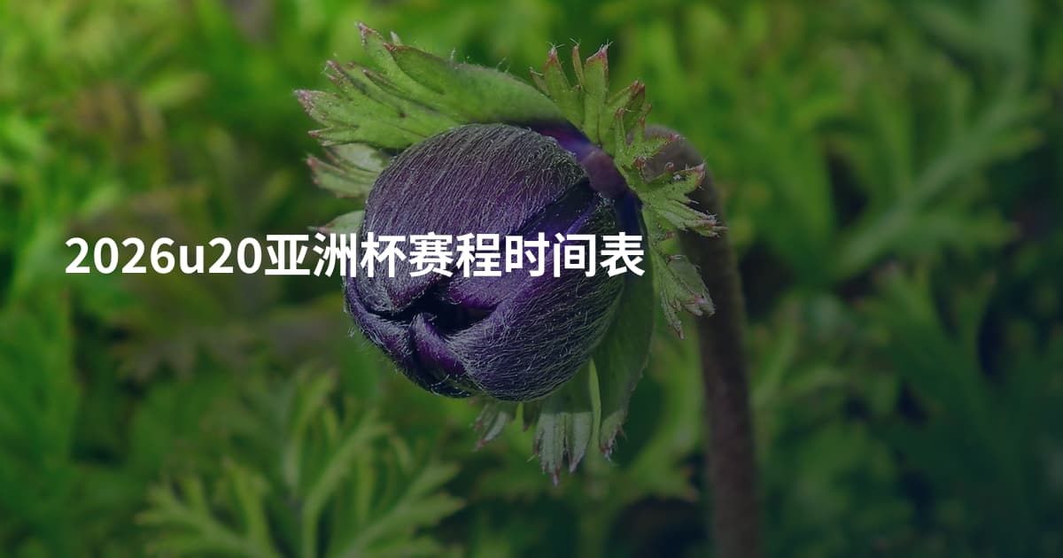 2026u20亚洲杯赛程时间表