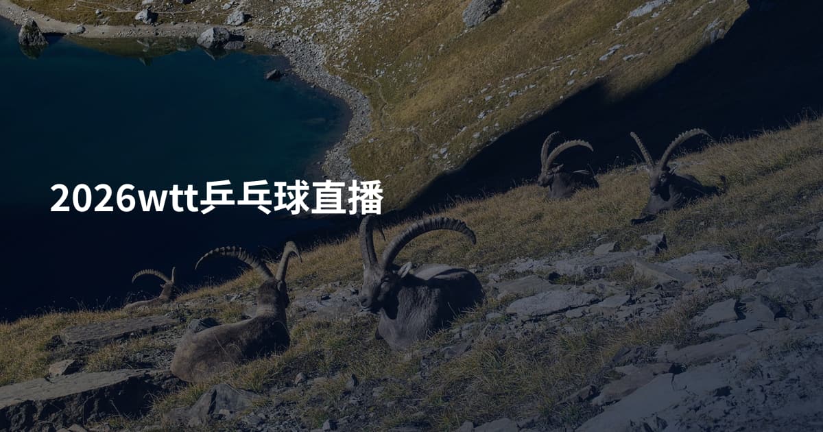2026wtt乒乓球直播