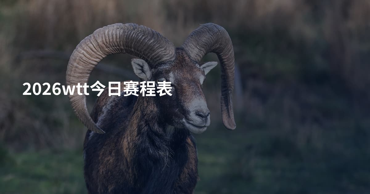 2026wtt今日赛程表