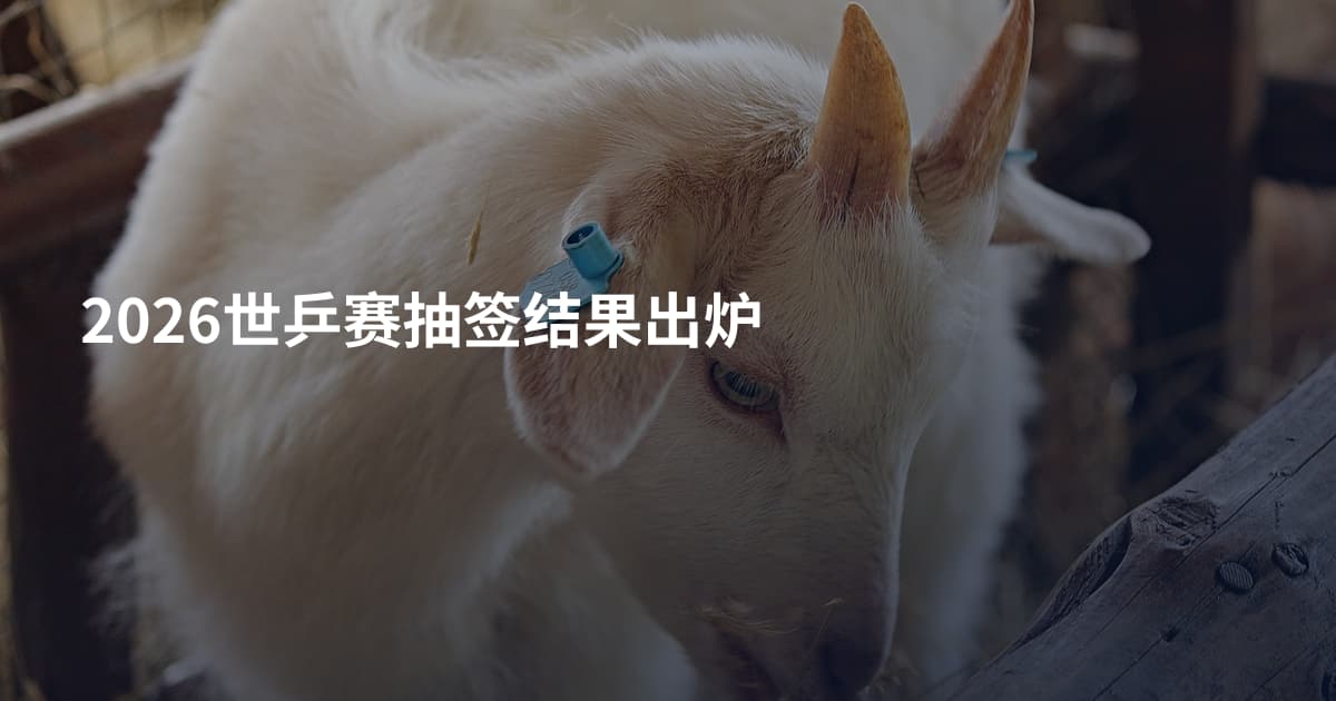2026世乒赛抽签结果出炉