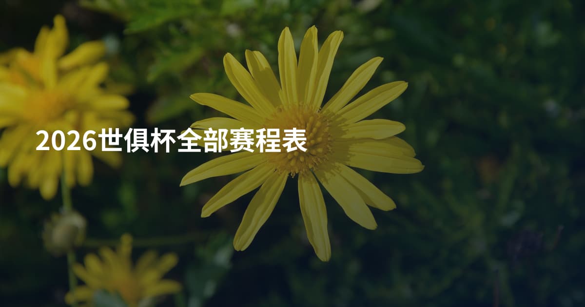 2026世俱杯全部赛程表