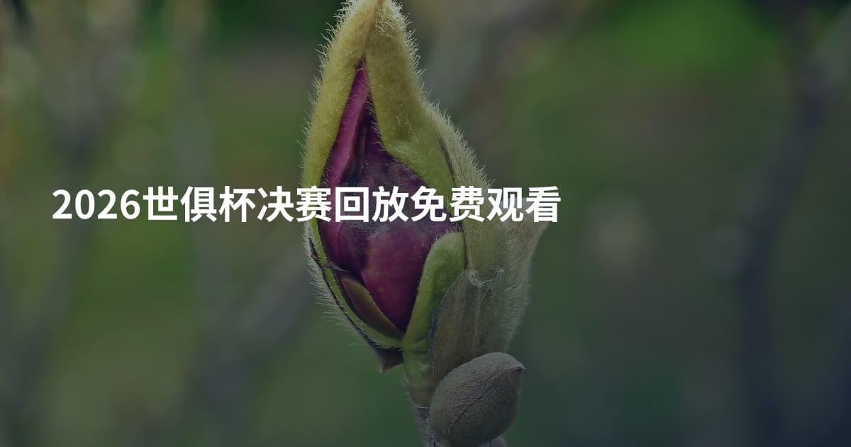 2026世俱杯决赛回放免费观看