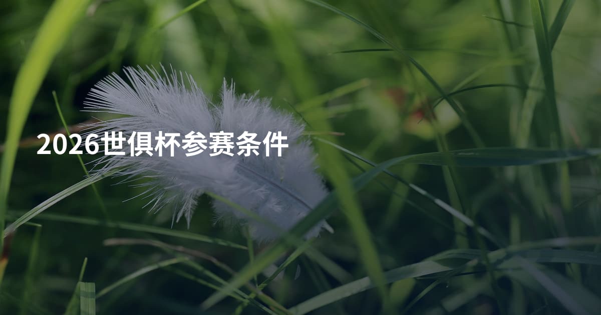 2026世俱杯参赛条件