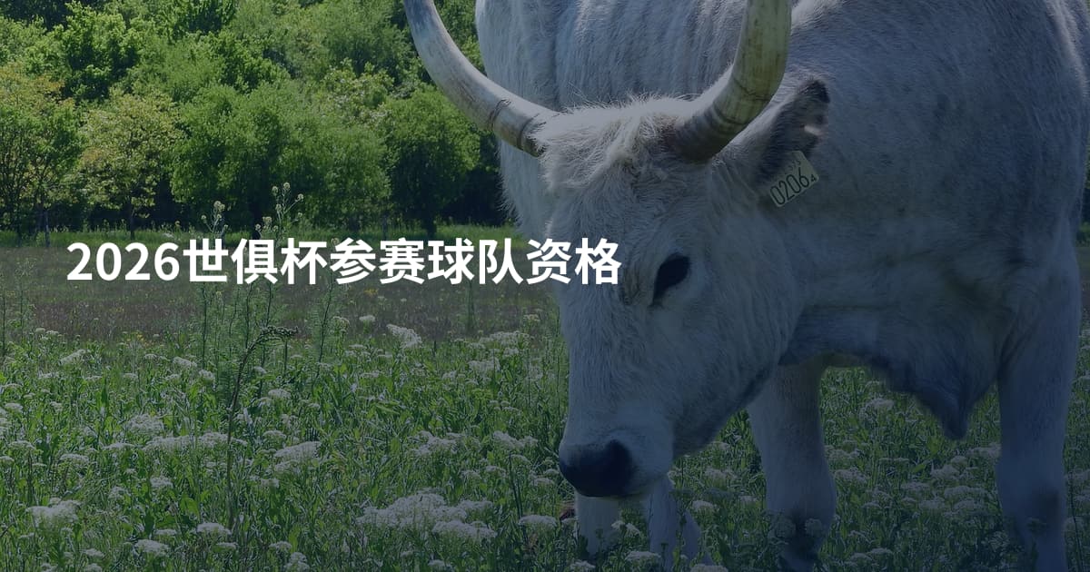 2026世俱杯参赛球队资格