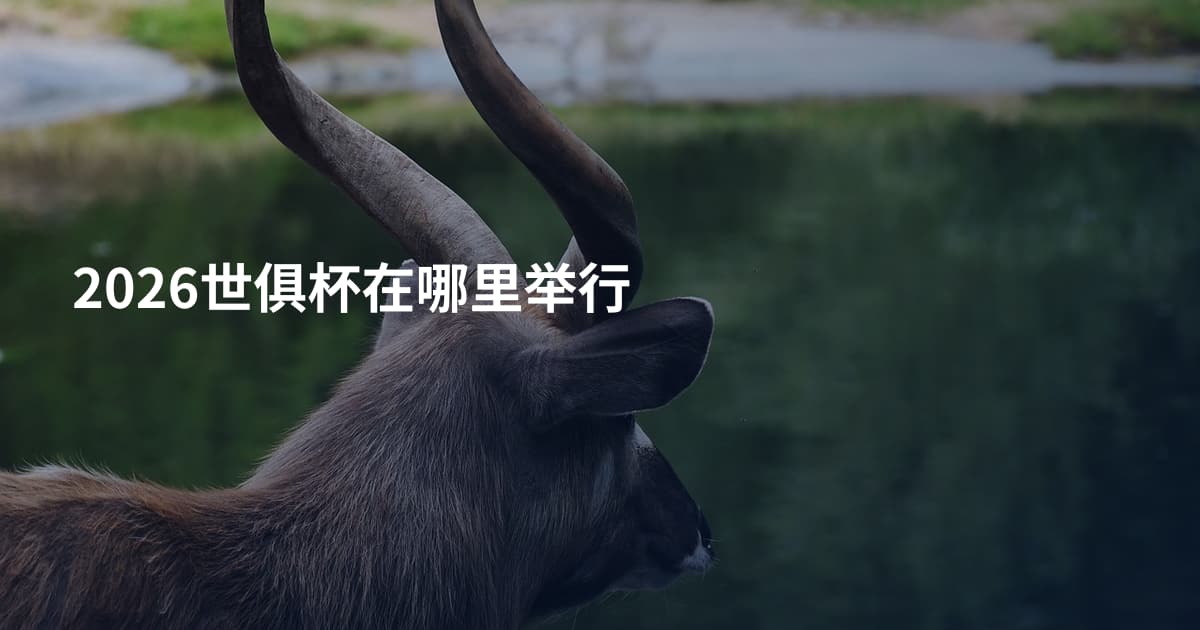 2026世俱杯在哪里举行