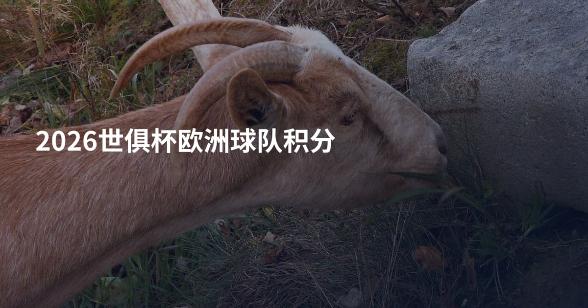 2026世俱杯欧洲球队积分