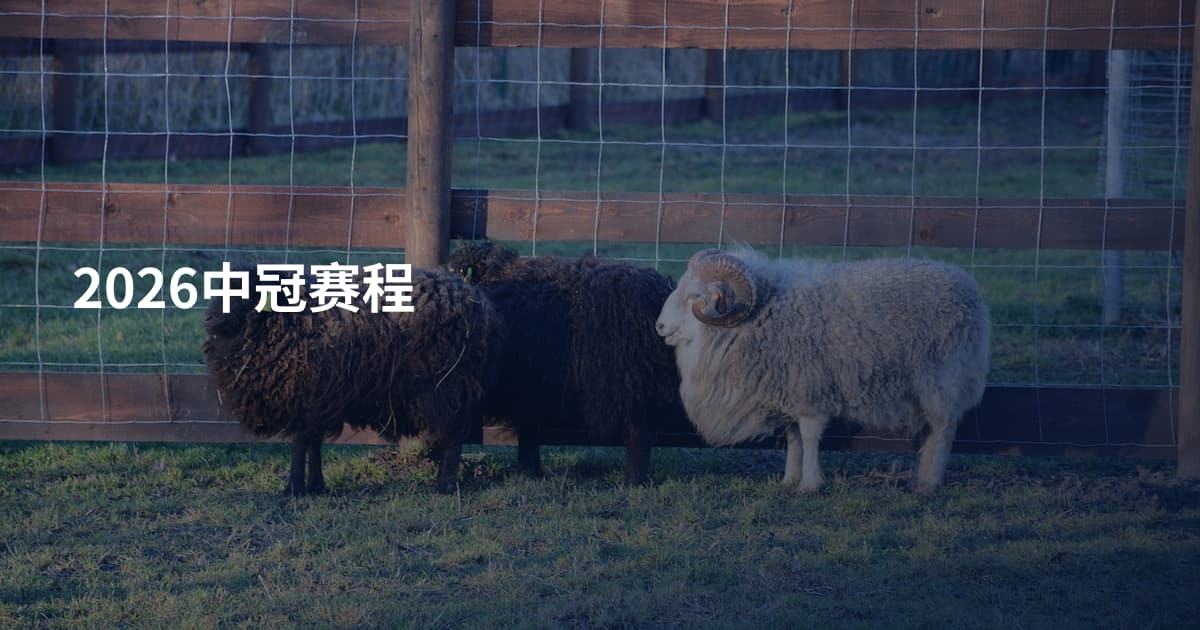 2026中冠赛程