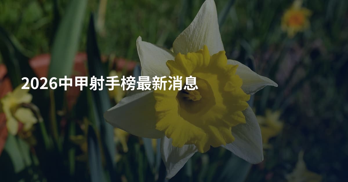 2026中甲射手榜最新消息