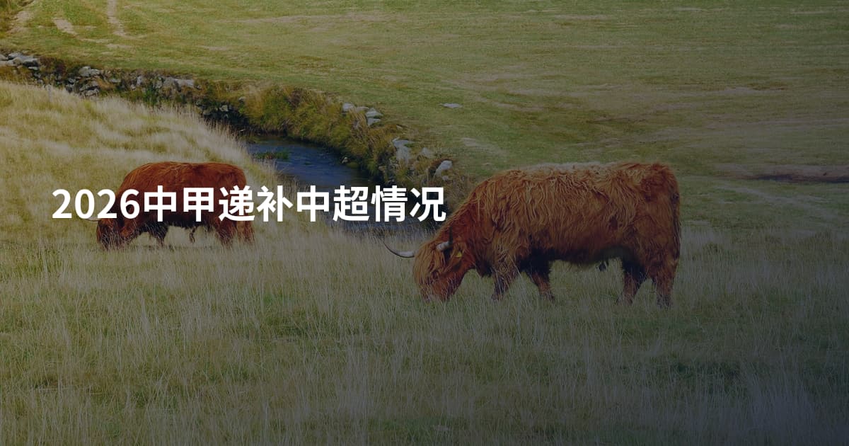 2026中甲递补中超情况