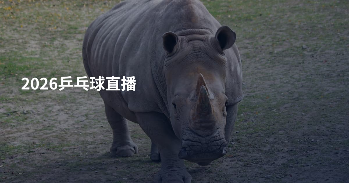 2026乒乓球直播