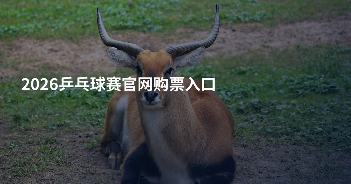 2026乒乓球赛官网购票入口