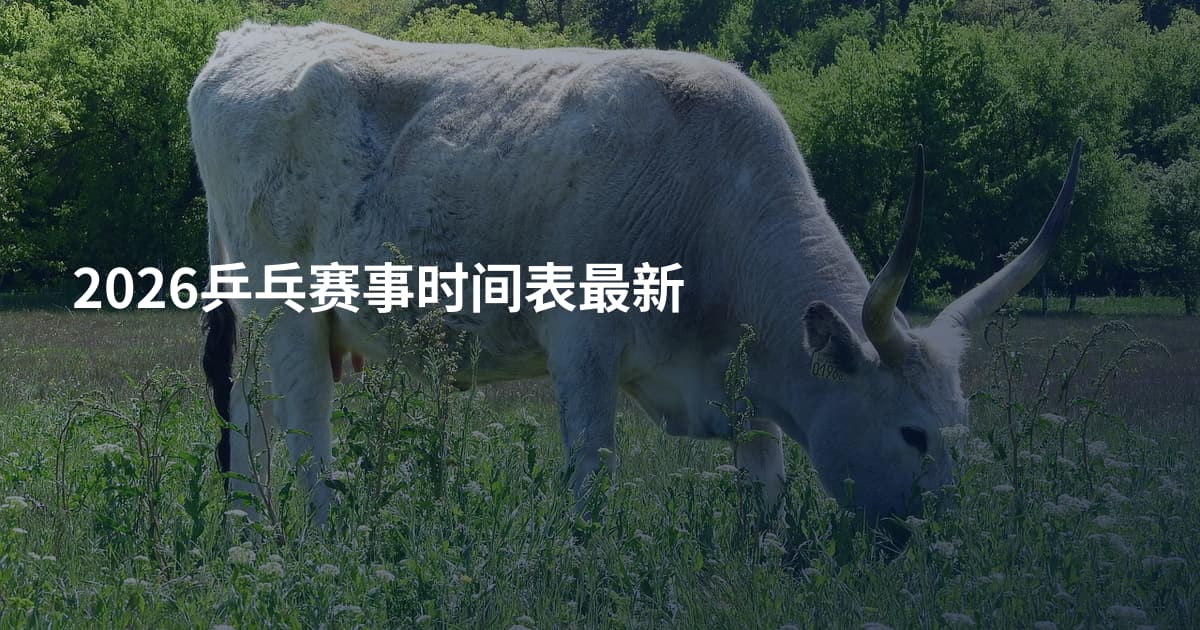 2026乒乓赛事时间表最新