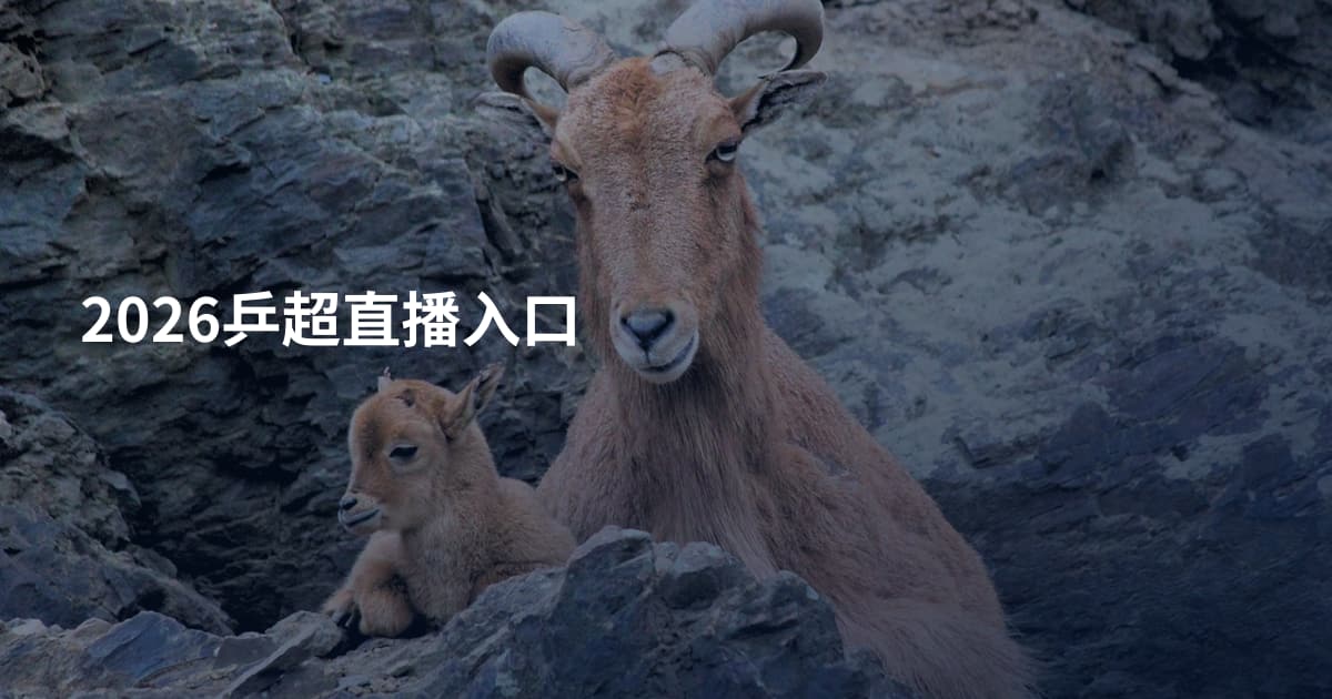 2026乒超直播入口
