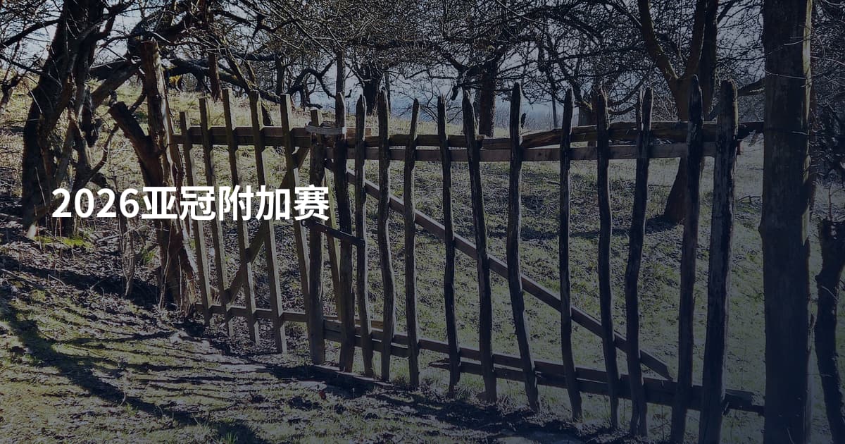 2026亚冠附加赛