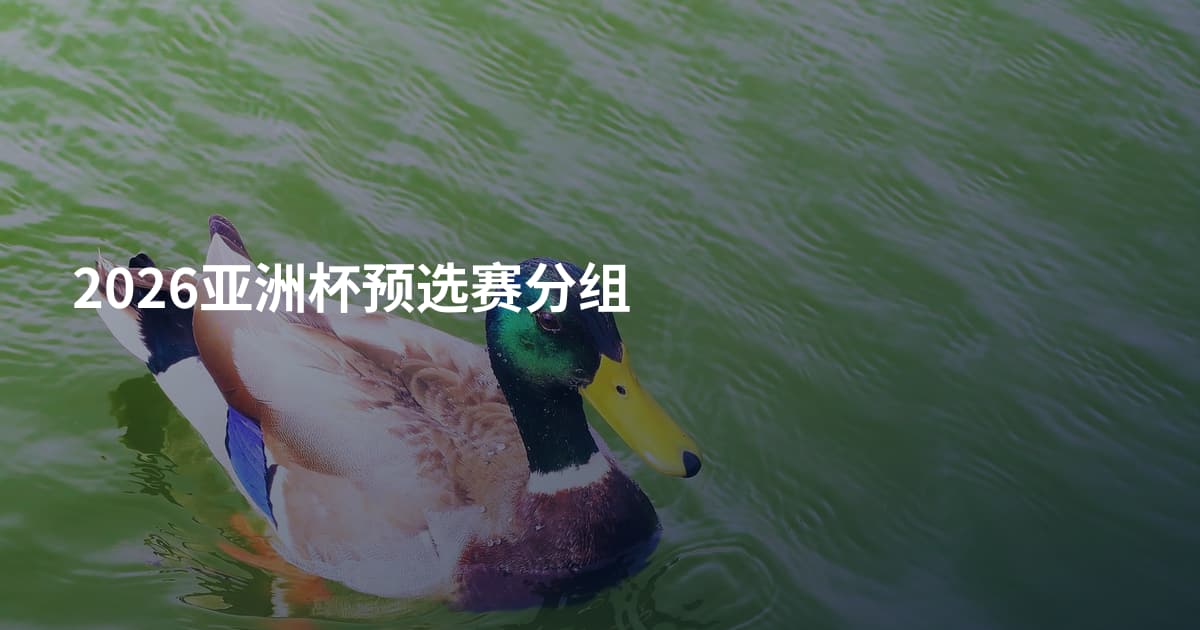 2026亚洲杯预选赛分组