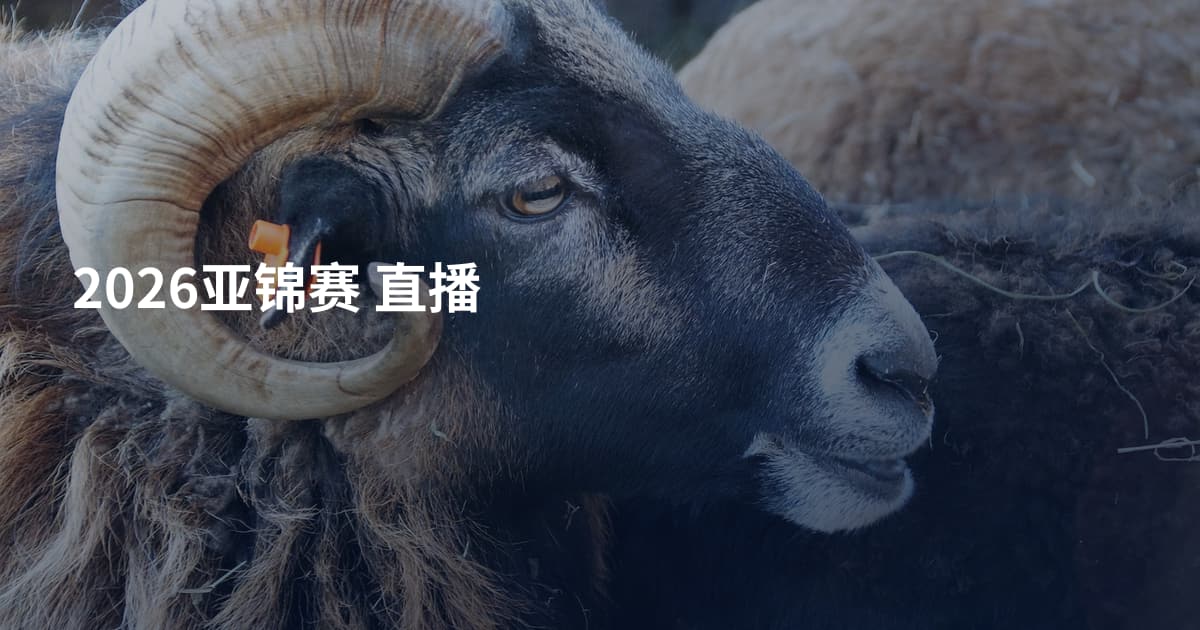 2026亚锦赛  直播