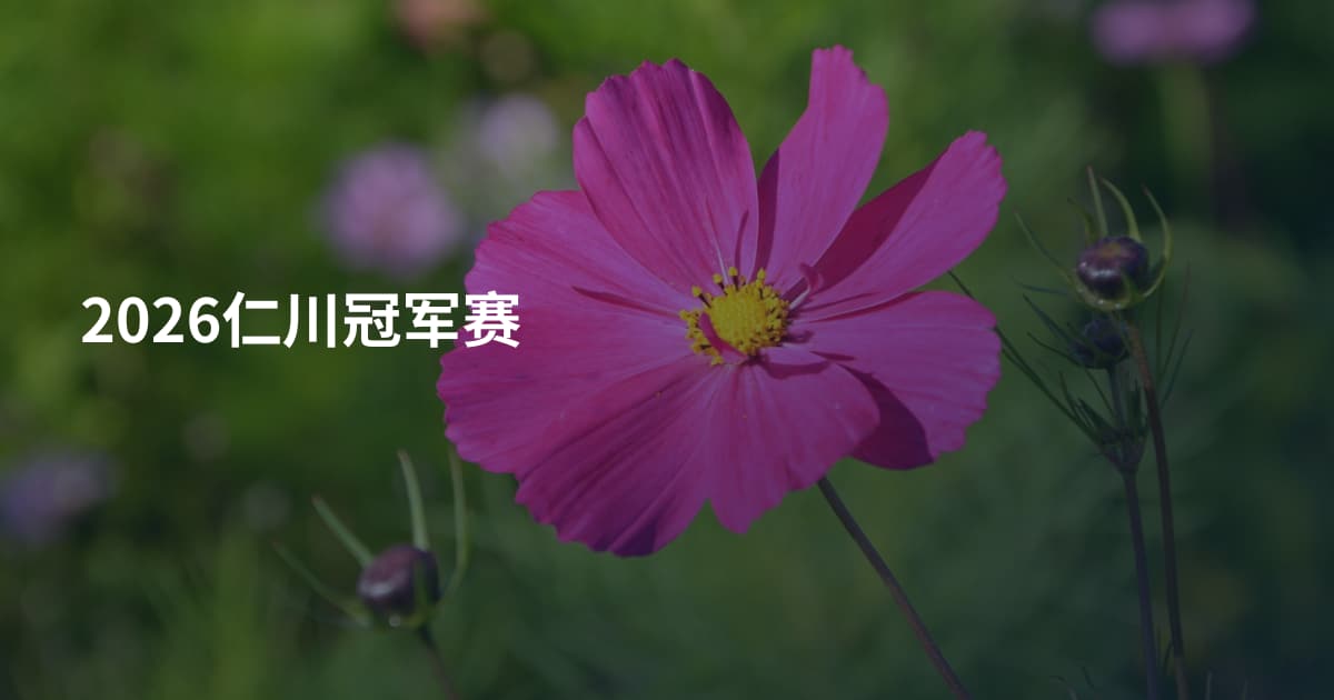 2026仁川冠军赛
