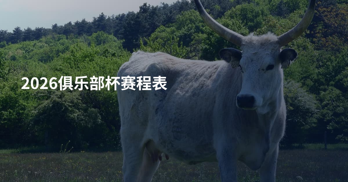 2026俱乐部杯赛程表