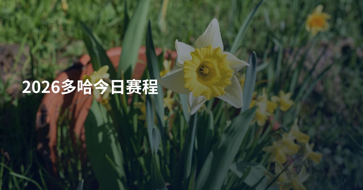 2026多哈今日赛程