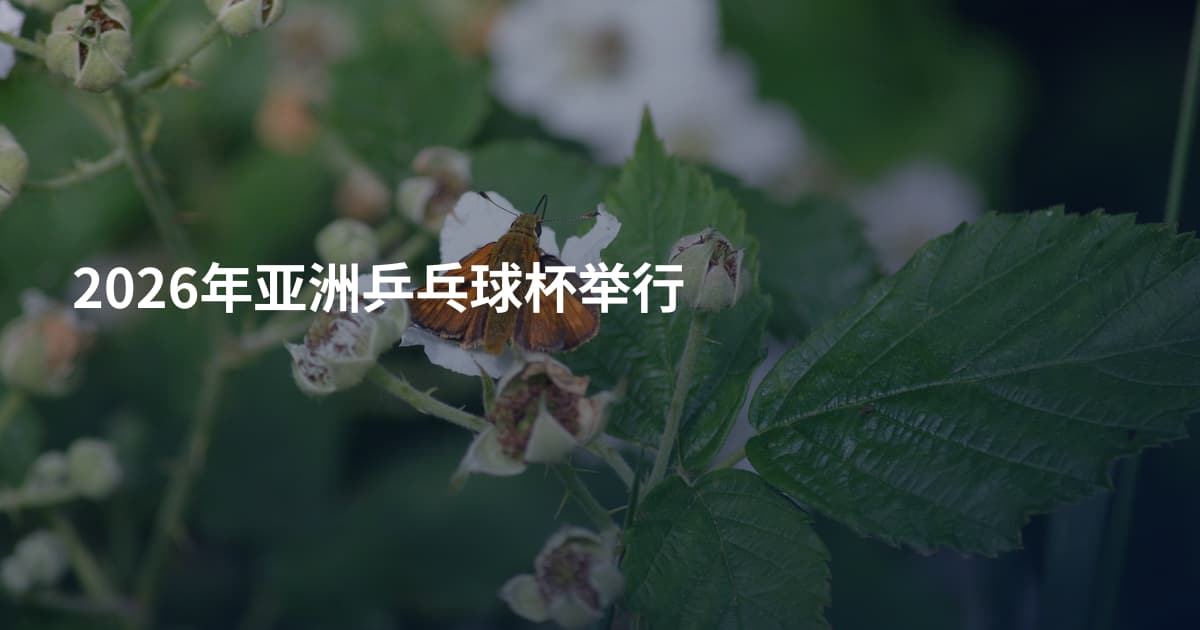 2026年亚洲乒乓球杯举行