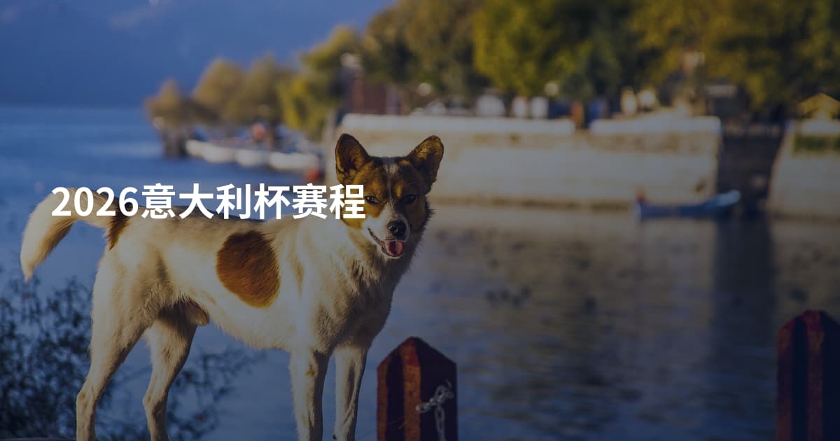 2026意大利杯赛程