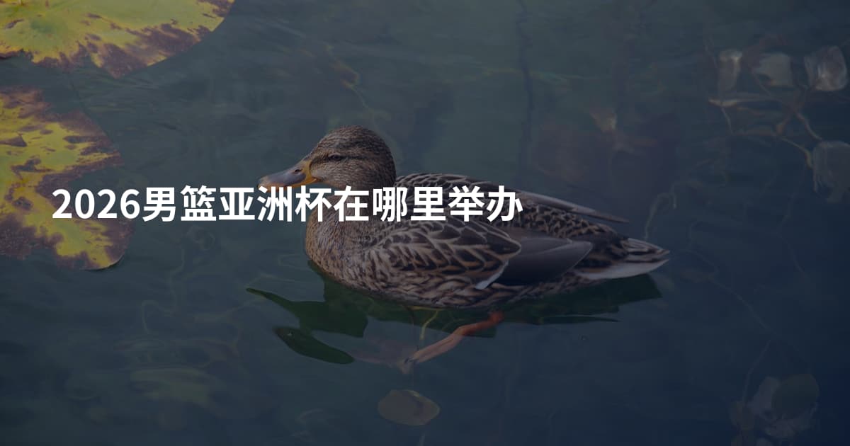 2026男篮亚洲杯在哪里举办