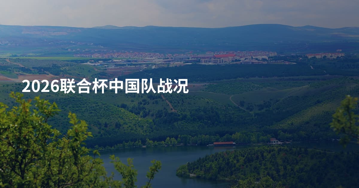 2026联合杯中国队战况